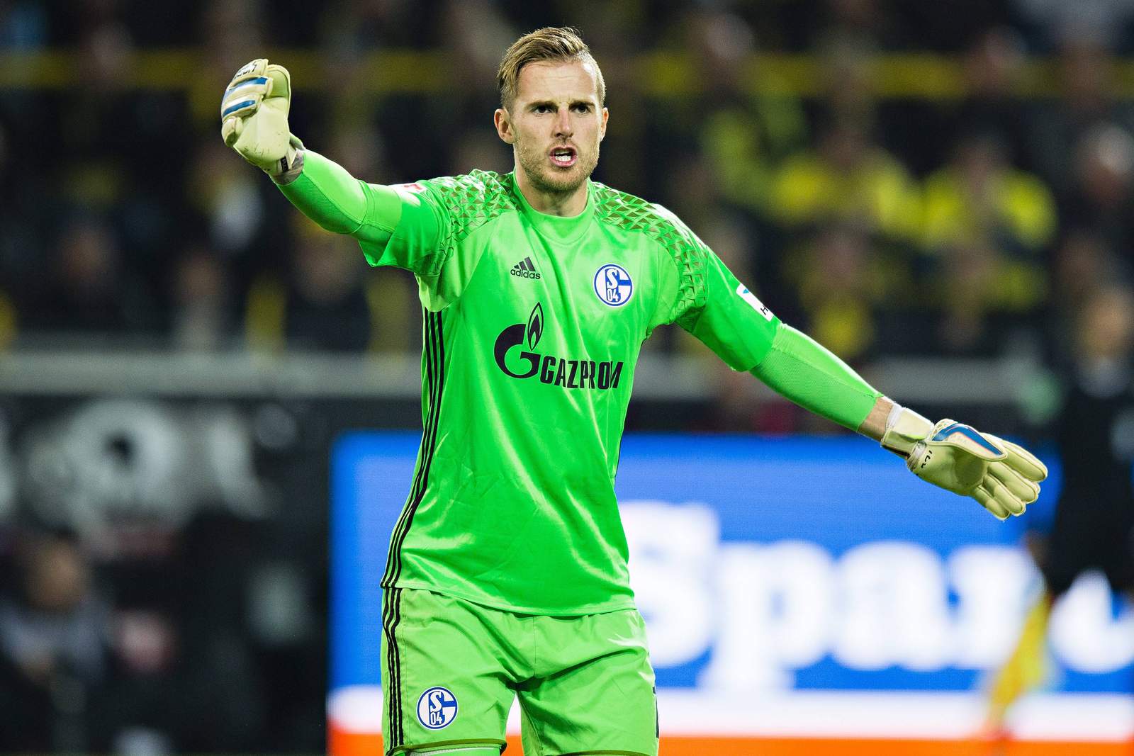 fährmann schalke chemnitz bundesliga Torwart Ralf Fährmann von Schalke 04