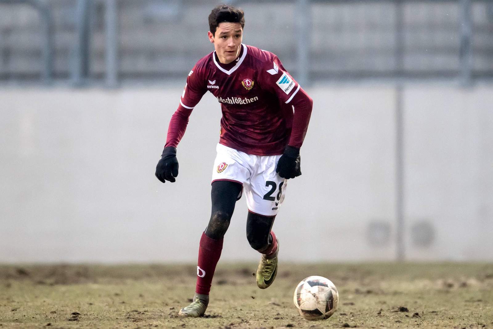 landgraf dynamo dresden 3.liga Niklas Landgraf von Dynamo Dresden