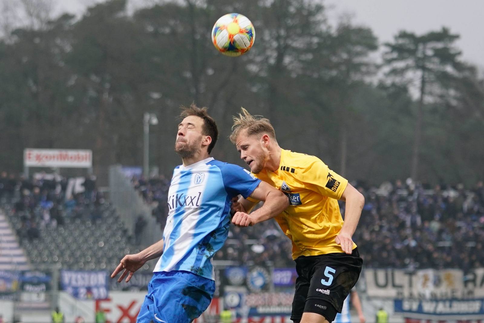 steffen puttkammer, marcel seegert, sv meppen, Waldhof Mannheim, 3. liga Steffen Puttkammer gegen Marcel Seegert